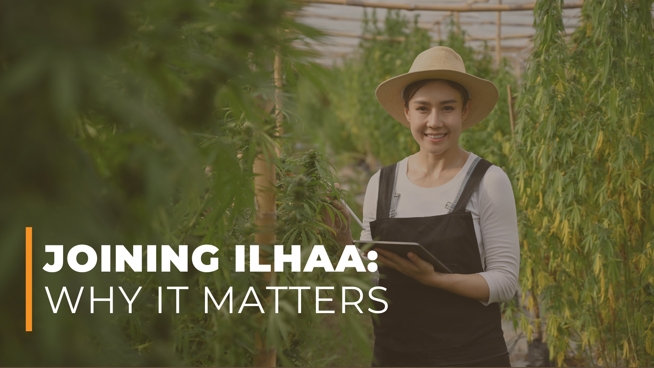 Why Joining the Illinois Healthy Alternatives Association Matters