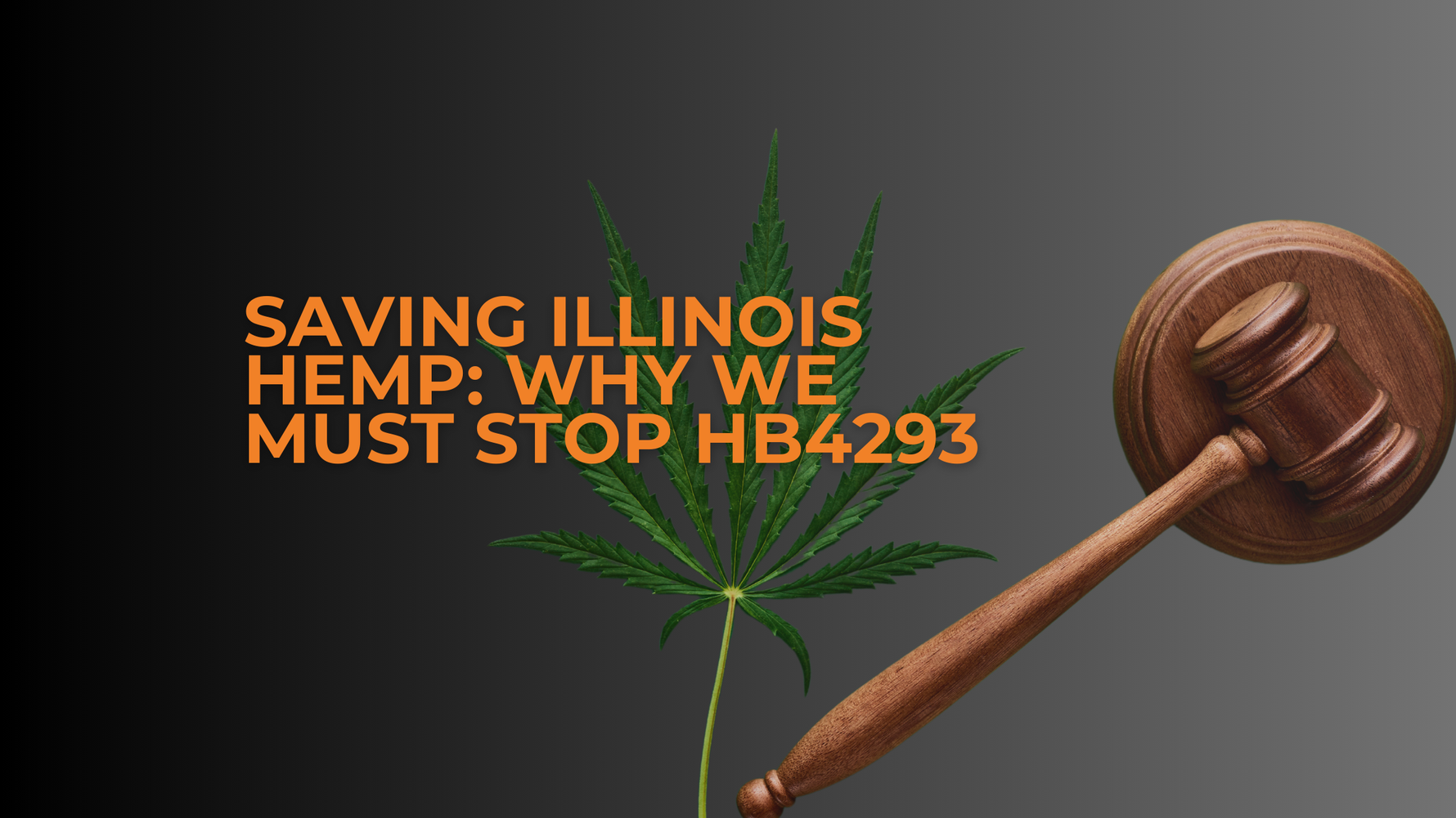 Save Illinois Hemp: Why We Must Stop HB4293 Now