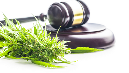 The Stalled THC Regulation Bill: Impact on Illinois’ Cannabis Landscape